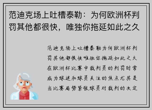 范迪克场上吐槽泰勒：为何欧洲杯判罚其他都很快，唯独你拖延如此之久？