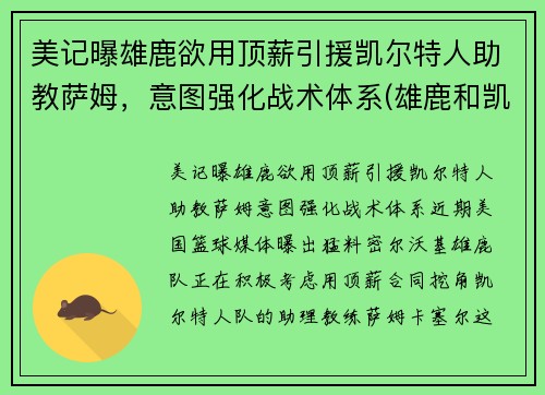 美记曝雄鹿欲用顶薪引援凯尔特人助教萨姆，意图强化战术体系(雄鹿和凯尔特人谁是绿军)